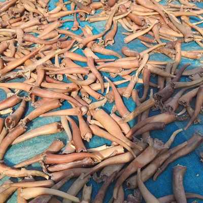 海竹干、海次干與海味干貨批發市場概述