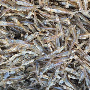 北海銀魚仔 鮮美海味，干貨之選——最新批發報價與市場指南