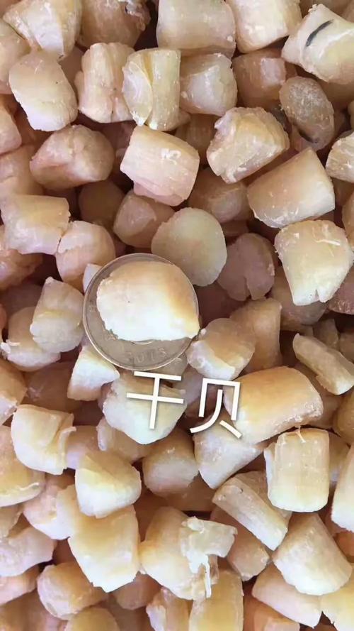 東山海鮮干貨 品質之選｜歡迎蒞臨少年宮旁小店品茶洽談